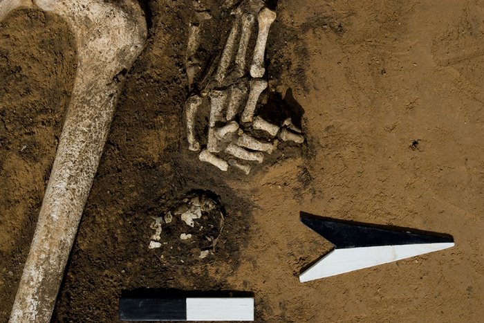 Abbildung 5: Ein Ei als Grabbeigabe (Befund-Nummer: 20753). © Landesamt für Denkmalpflege und Archäologie Sachsen-Anhalt, Klaus Powroznik.