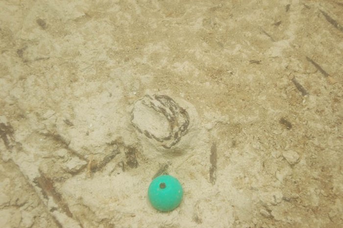 Abbildung 11: Ahornbastrest. In der Bildmitte zusammengerollter »Strick«. © Landesamt für Denkmalpflege und Archäologie Sachsen-Anhalt, Harald Lübke. 