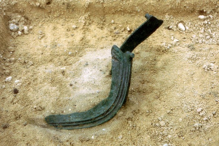 Abbildung 1: Zwei der Sicheln in situ. © Landesamt für Denkmalpflege und Archäologie Sachsen-Anhalt.