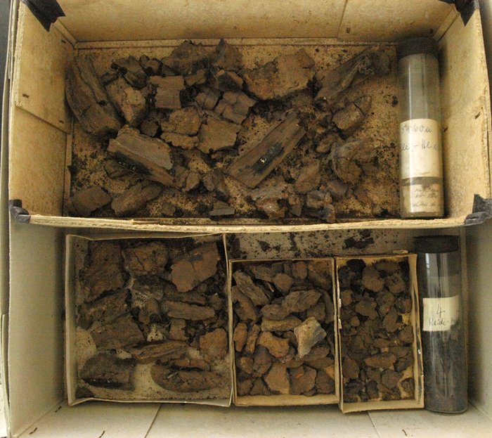 Abbildung 4: Die Funde aus Grab 4 im Zustand der »Wiederauffindung« im Jahr 2013. © Landesamt für Denkmalpflege und Archäologie Sachsen-Anhalt, Maral Schumann.