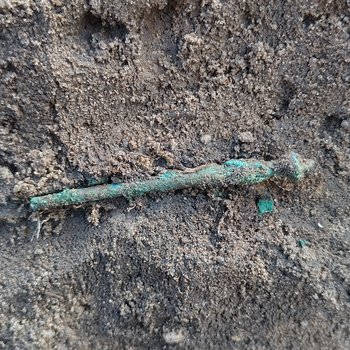 Abbildung 4: Bronzene Ösenkopfnadel der Aunjetitzer Kultur aus dem Siedlungsbefund 50.123 direkt neben dem Brunnen. © Landesamt für Denkmalpflege und Archäologie Sachsen-Anhalt, Anja Tuschwitz.
