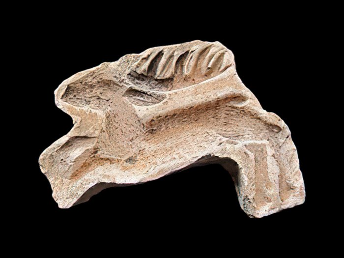 Abbildung 5: Hirschmodel aus Befund 22. © Landesamt für Denkmalpflege und Archäologie Sachsen-Anhalt, Andrea Hörentrup.