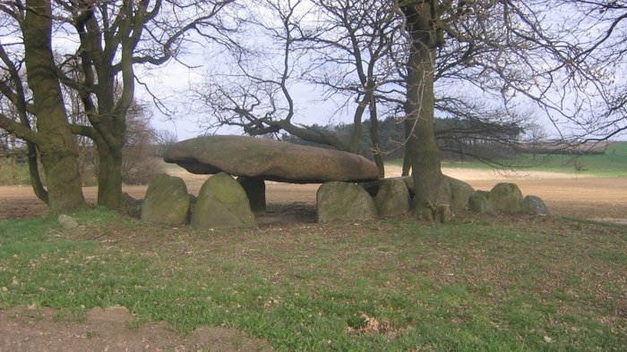 Abbildung 4: Das Großsteingrab von Stöckheim. © Landesamt für Denkmalpflege und Archäologie Sachsen-Anhalt, Barbara Fritsch. 