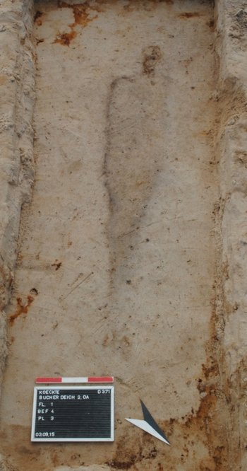 Abbildung 11: Beispiel für eine schlechte Knochenerhaltung in tieferen Lagen. Hier sind lediglich poröse Schädelreste erhalten, sonst zeugt nur ein Leichenschatten von der Lage des bestatteten Individuums. © Landesamt für Denkmalpflege und Archäologie Sachsen-Anhalt, Dorothee Menke.