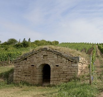 Abbildung 3: Eine weitere Weinberghütte. Deutlich erkennbar sind die Bauweise und die Dachbegrünung der Hütte. © Landesamt für Denkmalpflege und Archäologie Sachsen-Anhalt, Gunar Preuß. 