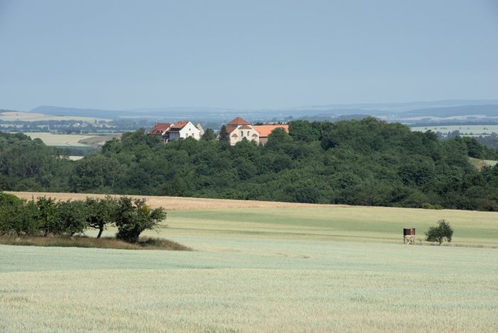 Abbildung 1: Blick auf die in der Selkeniederung gelegenden Konradsburg. © Landesamt für Denkmalpflege und Archäologie Sachsen-Anhalt, Gunar Preuß. 